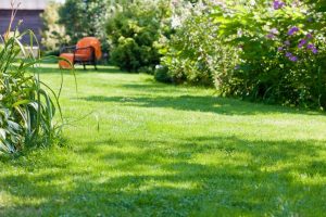 travaux jardin et paysage Serville